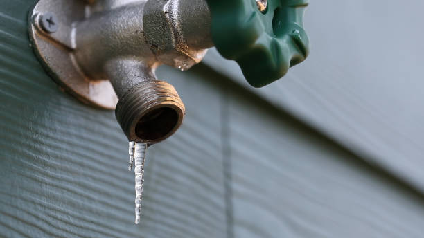 Best Plumbing Inspection Services  in Lawrencevle, IL